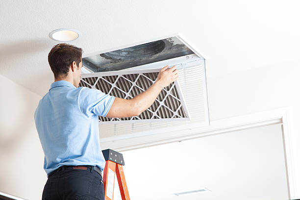 Best Air Filters and Purifiers in Suisun City, CA